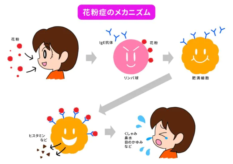 花粉症の原因